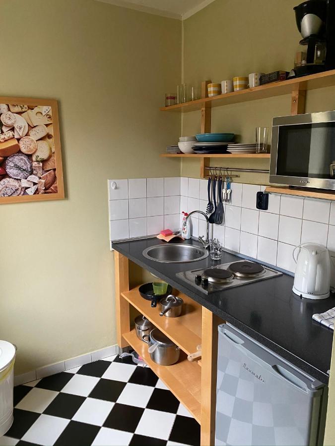 Apartments Merlin Mariánské Lázně Kültér fotó